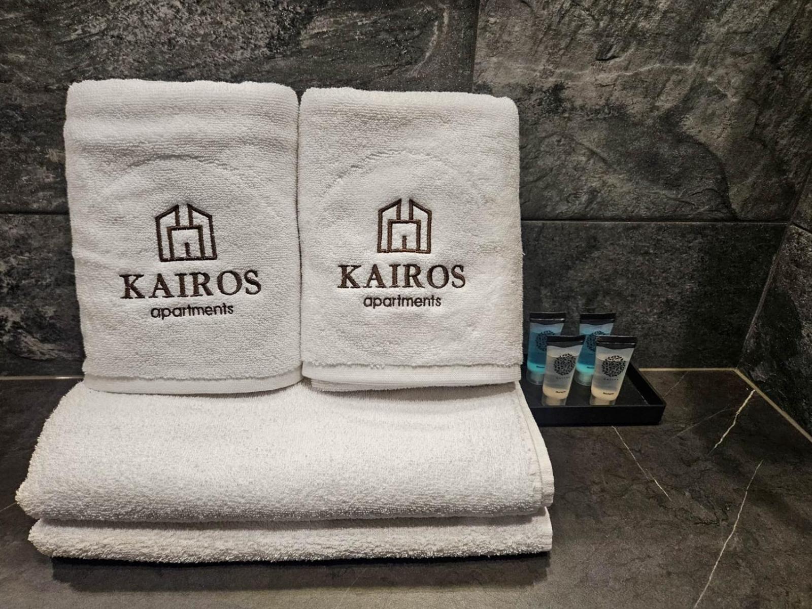 Kairos Apartments -Tower II Premium - Darmowy Parking, Silownia, Sauna - Scisle Centrum Katowice Ngoại thất bức ảnh